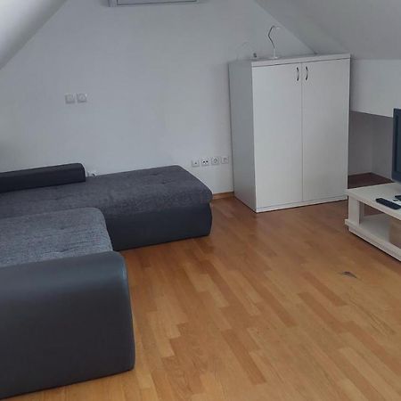 Apartmán Apartma Samo Kranj Exteriér fotografie
