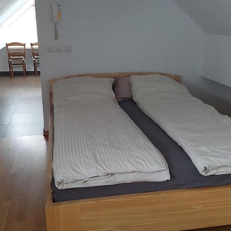 Apartmán Apartma Samo Kranj Exteriér fotografie